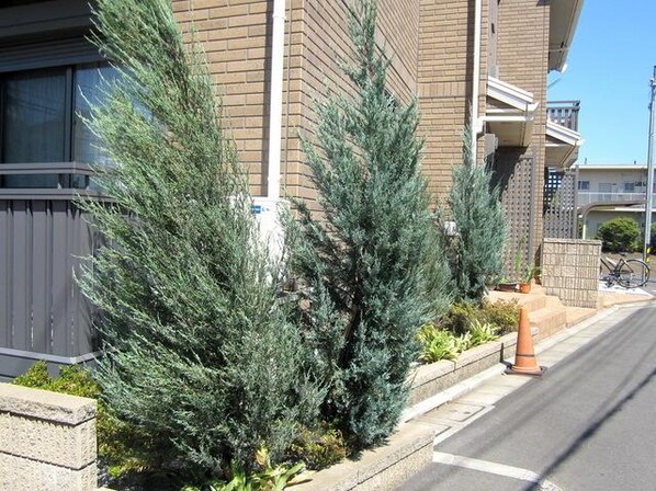 マルグリットA・B棟の物件内観写真